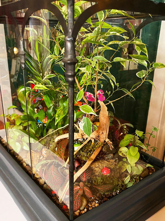 Glass terrarium indoor garden on a table filled with plants by H Potter