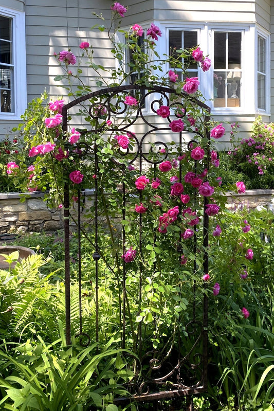 H Potter brand metal garden trellis with pink roses outside near a home