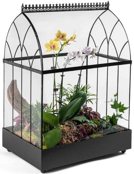 H Potter brand glass terrarium Wardian Case indoor garden with orchids large size curved roof
