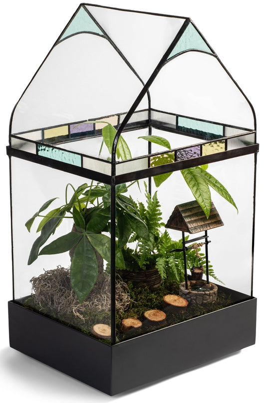 Common Concerns For Terrarium Gardeners