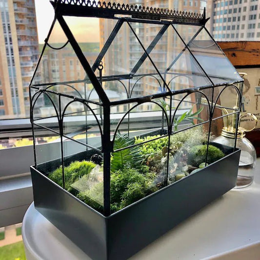 Tabletop glass terrarium with metal tray also known as a Wardian Case. Create an indoor garden.