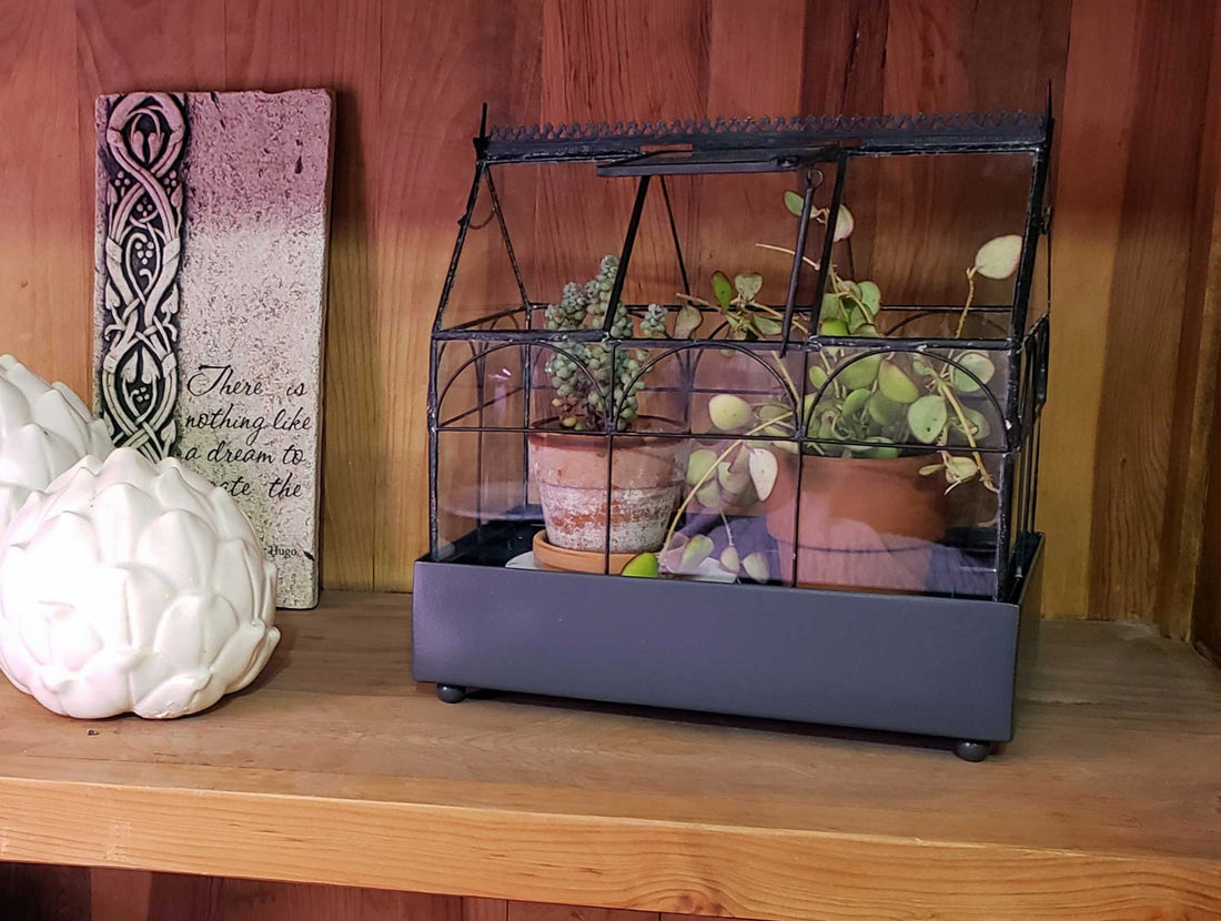 Wardian Case freestanding glass and metal terrarium it is an indoor garden from H Potter