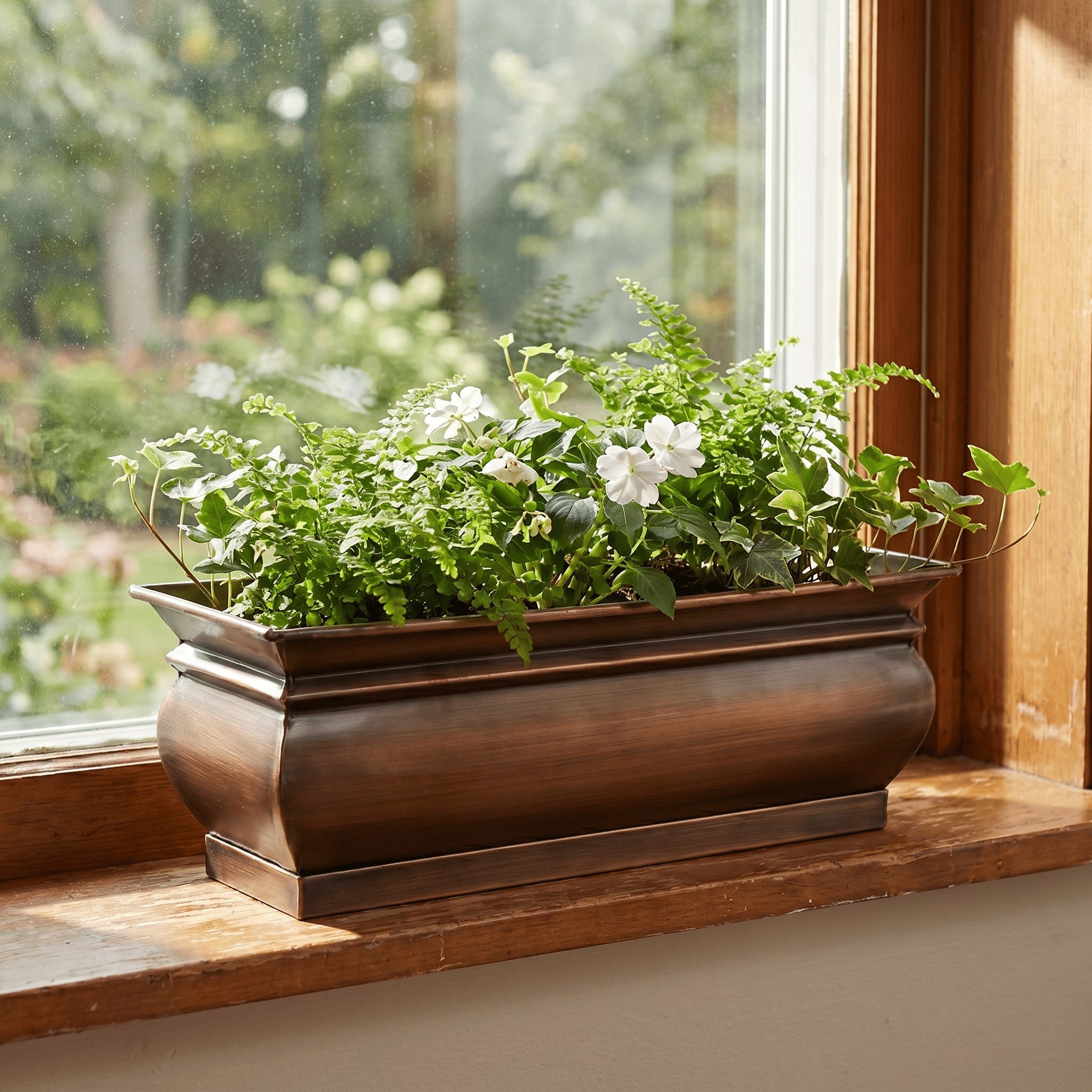 golden pothos with white Epipremnum Aureum 'Golden Pothos' main image 0