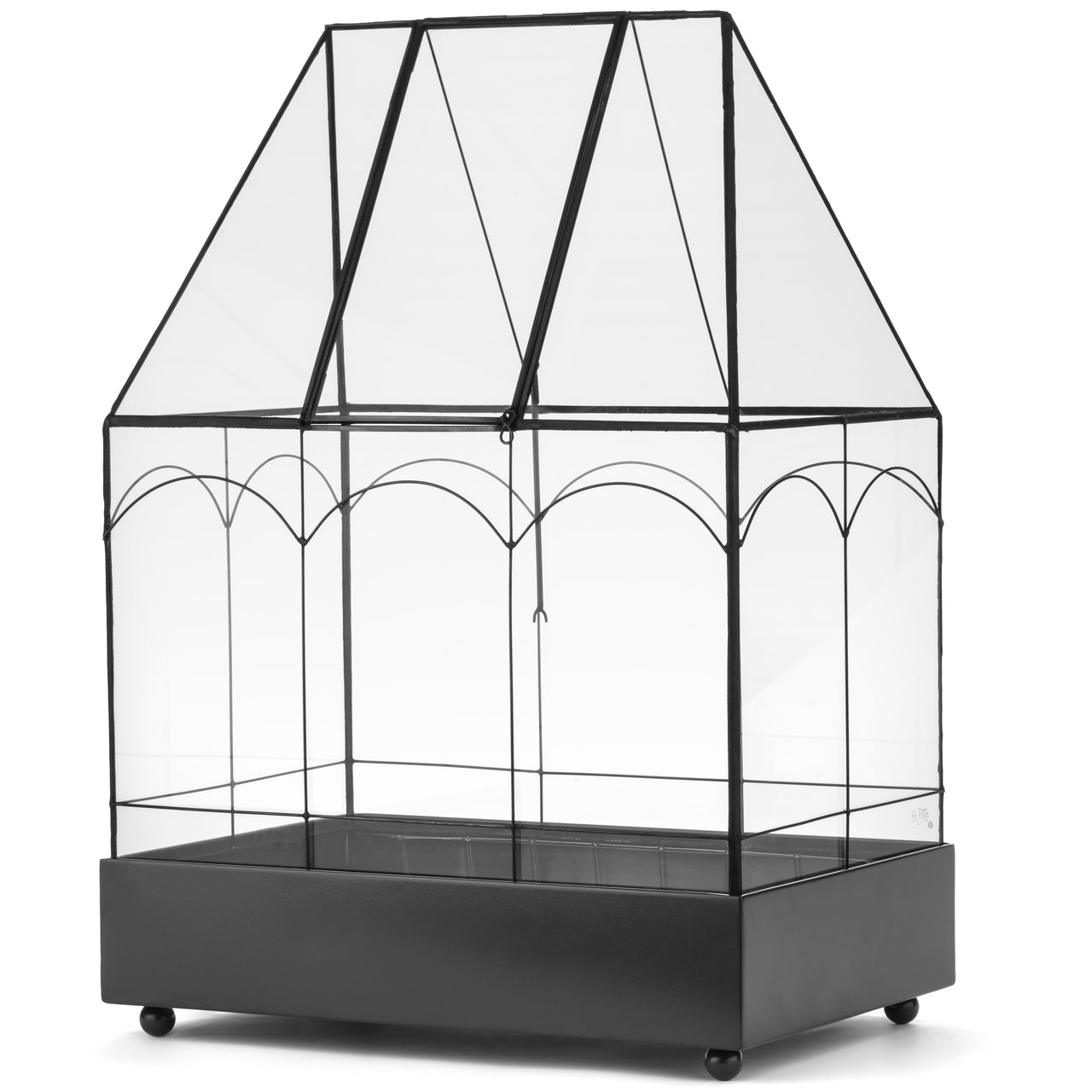 H Potter Terrarium Wardian Case Glass Plant Container Table Top Tall Orchids