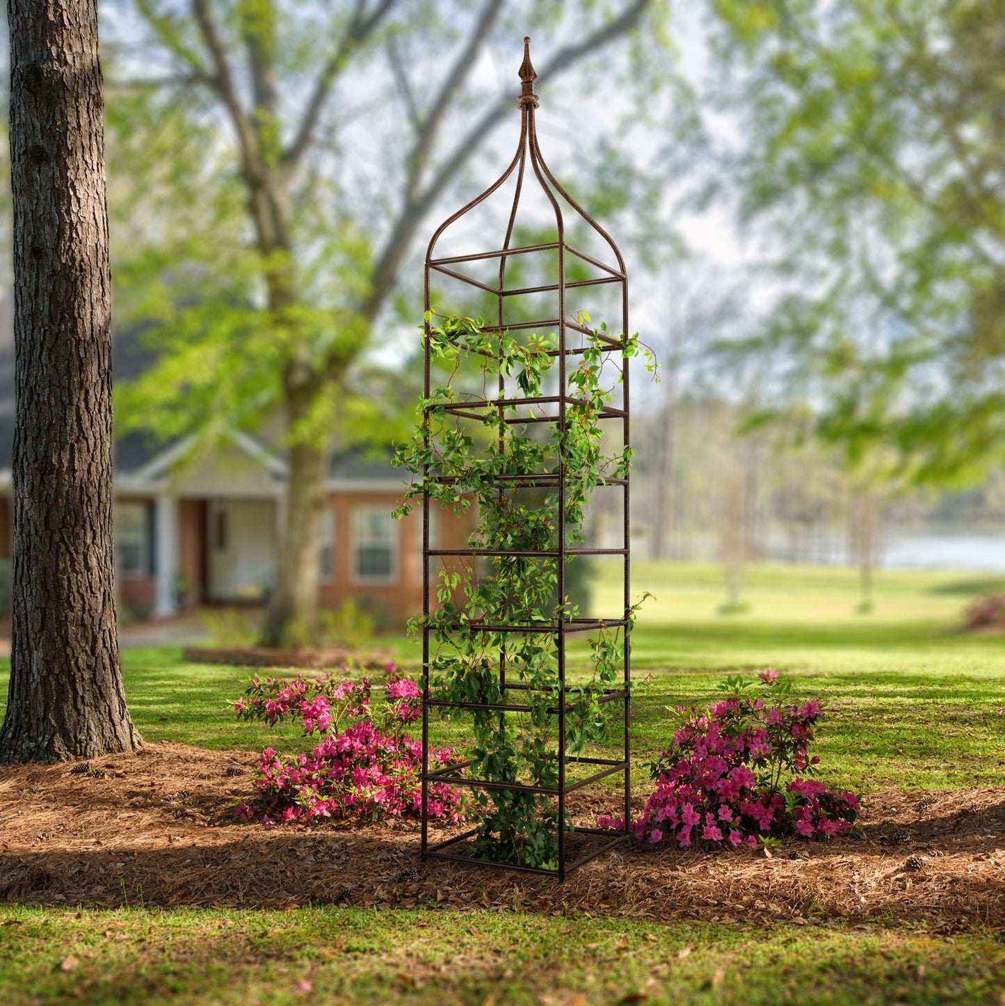 H Potter Metal Obelisk Garden Trellis for Climbing Plants Architectural Structure Backyard Landscaping