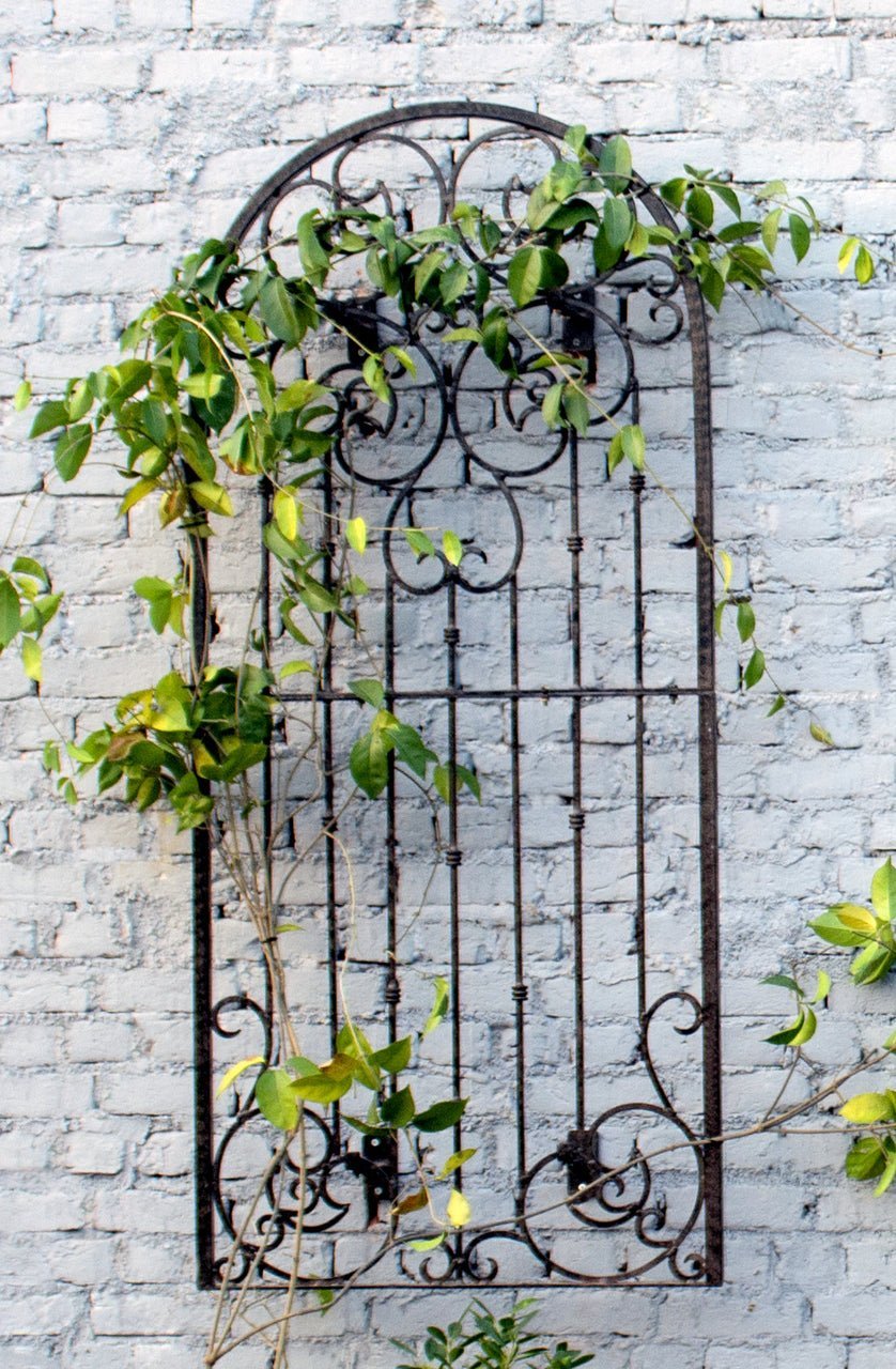 H Potter Metal Iron Scroll Wall Trellis w/Mounting Brackets