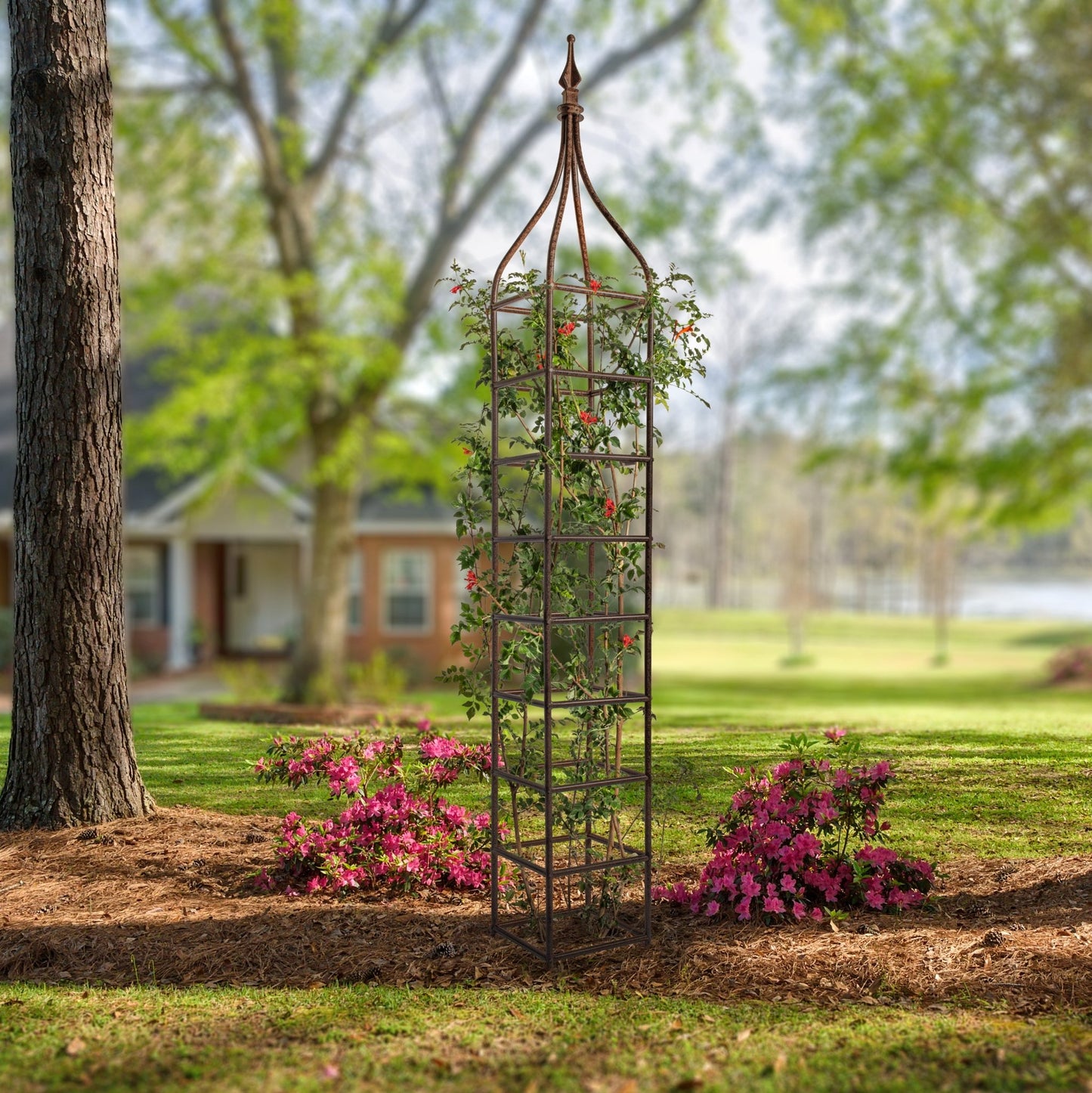 H Potter Metal Obelisk Garden Trellis for Climbing Plants Architectural Structure Backyard Landscaping