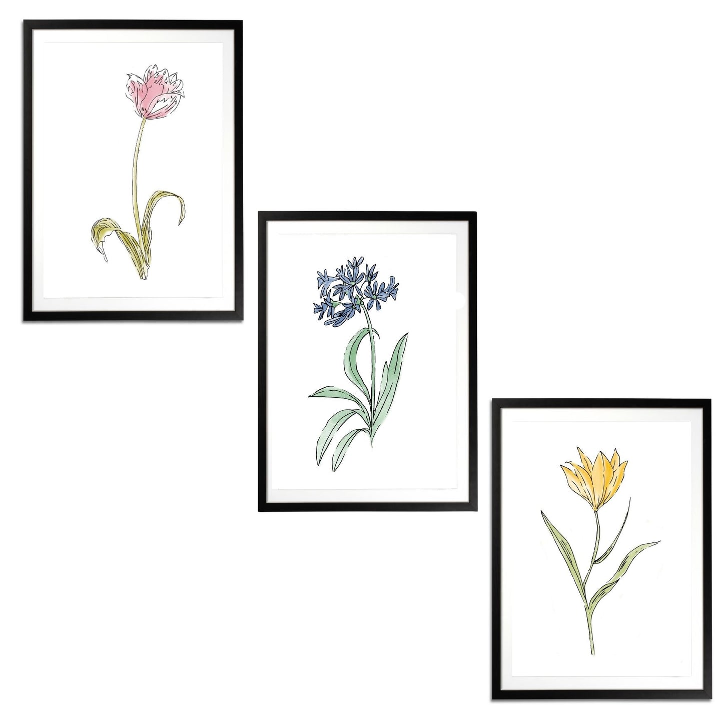 Whimsical Flowers Set Botanical Fine Art Print by H Potter