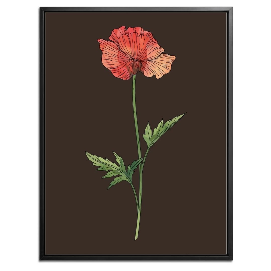 Poppy Botanical Fine Art Print by H Potter 1