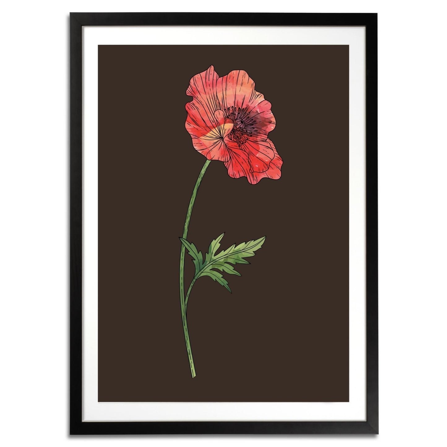 Poppy Botanical Fine Art Print by H Potter 2