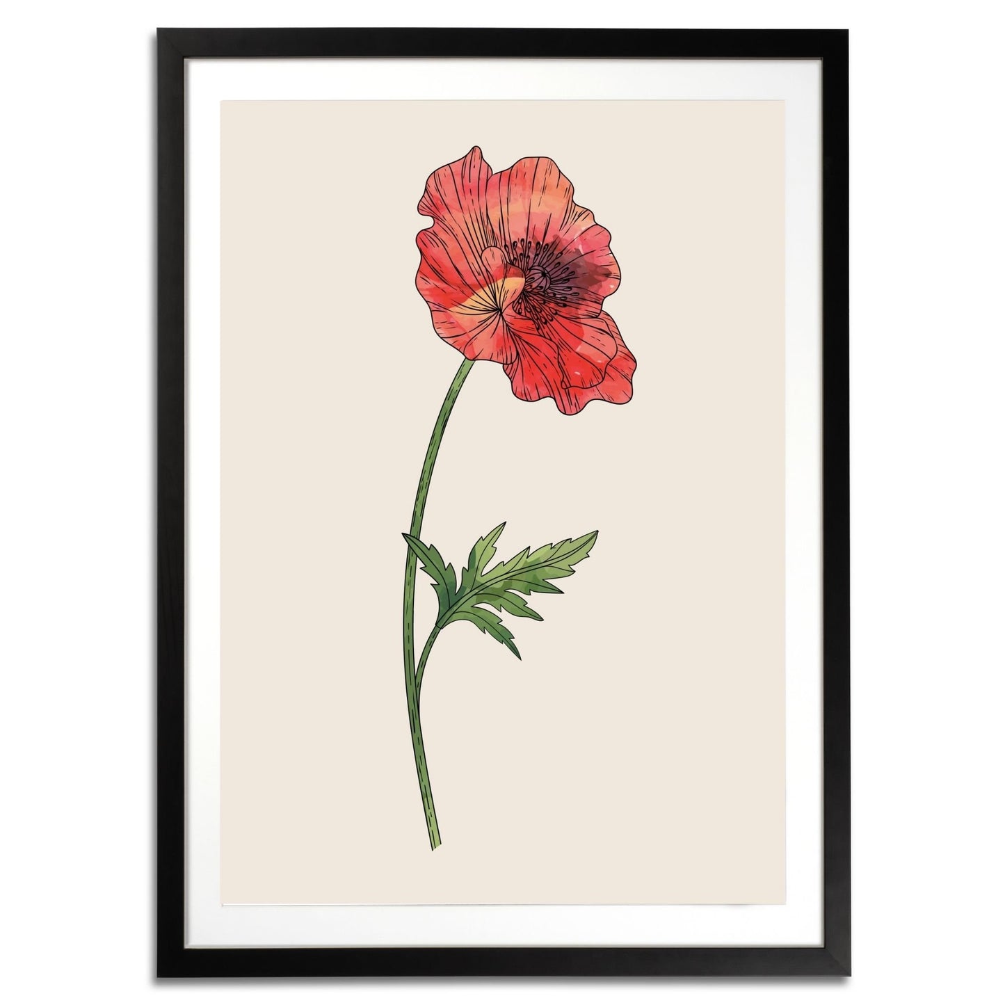 Poppy Botanical Fine Art Print by H Potter 2
