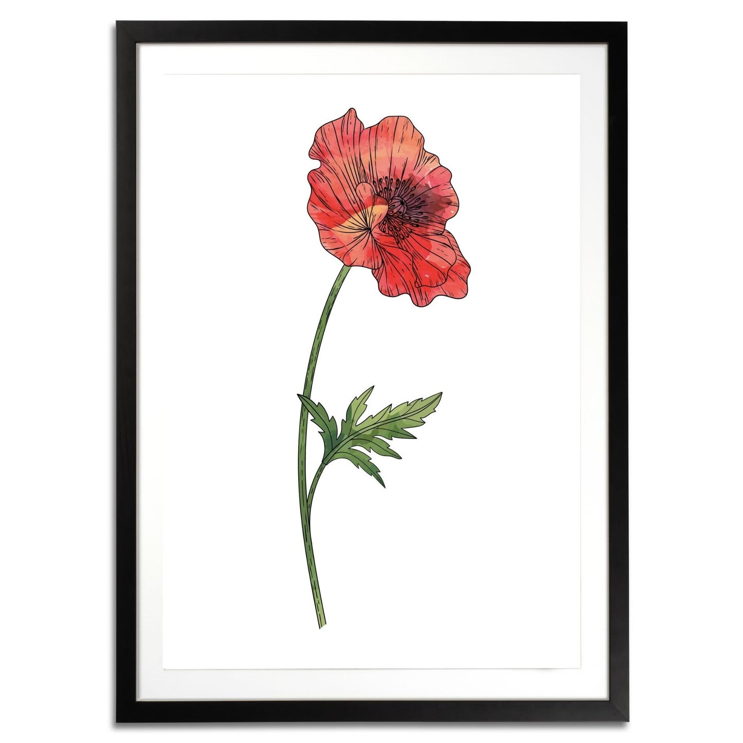 Poppy Botanical Fine Art Print by H Potter 2