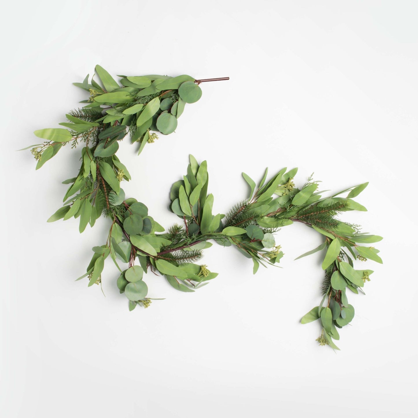 green decorative garland with pine and eucalyptus on a white background