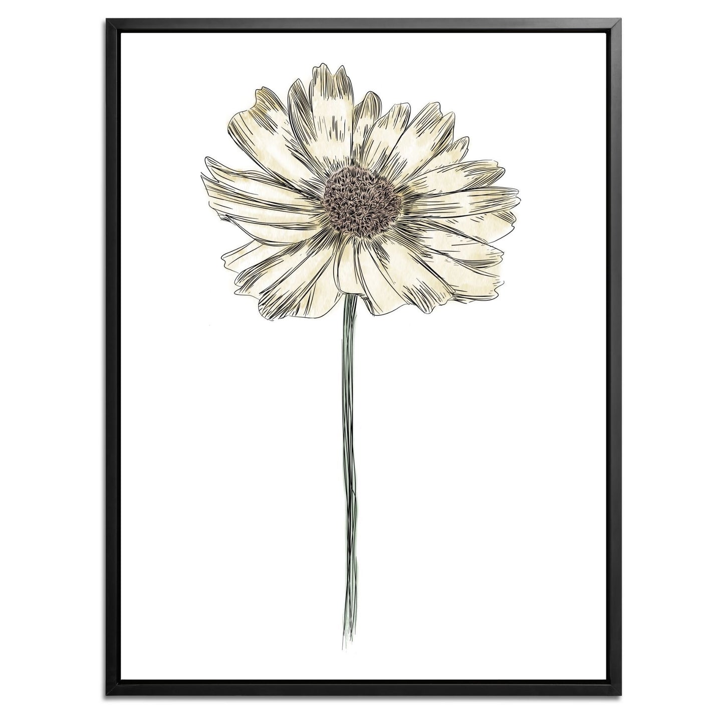 Daisy Botanical Fine Art Print by H Potter Yellow