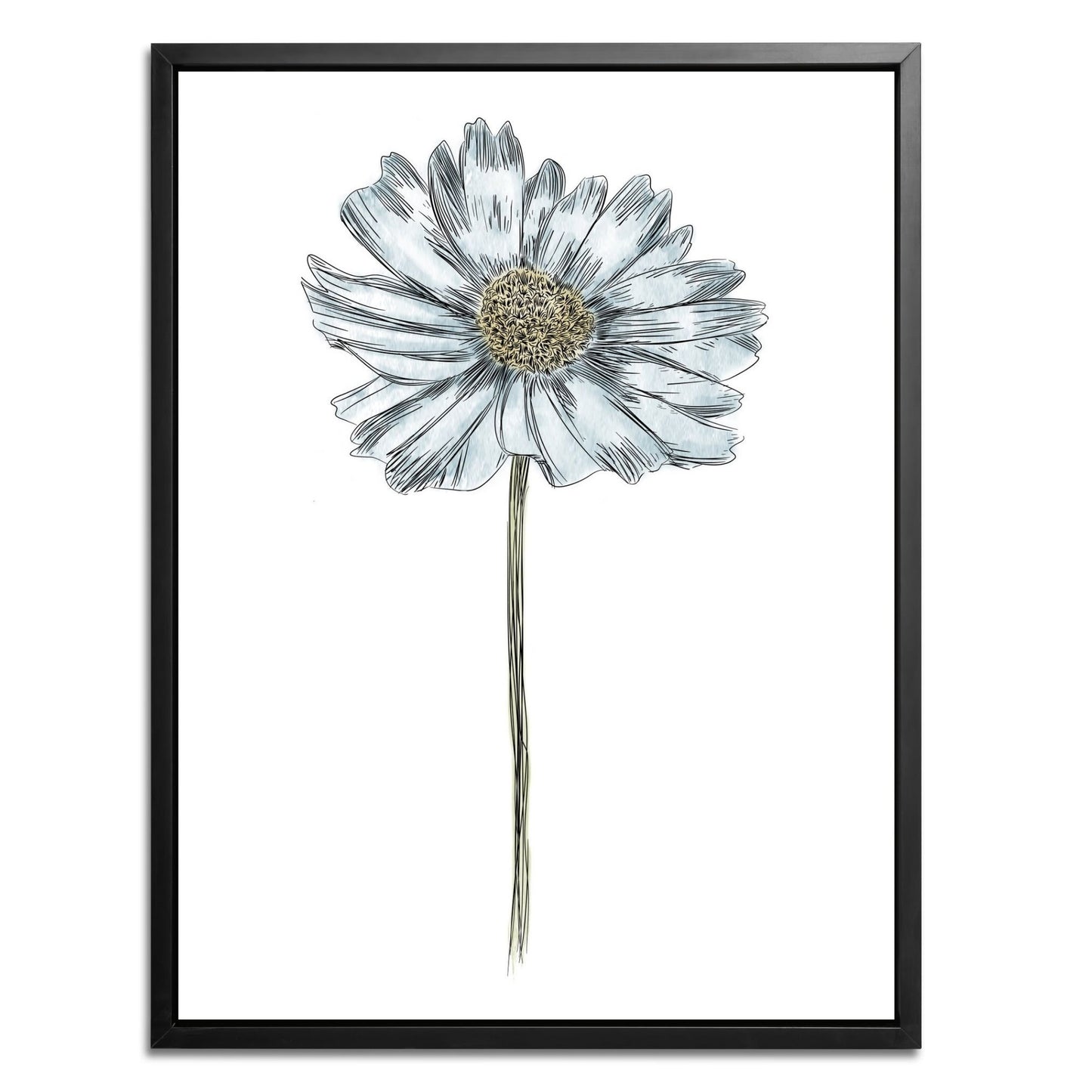 Daisy Botanical Fine Art Print by H Potter Blue