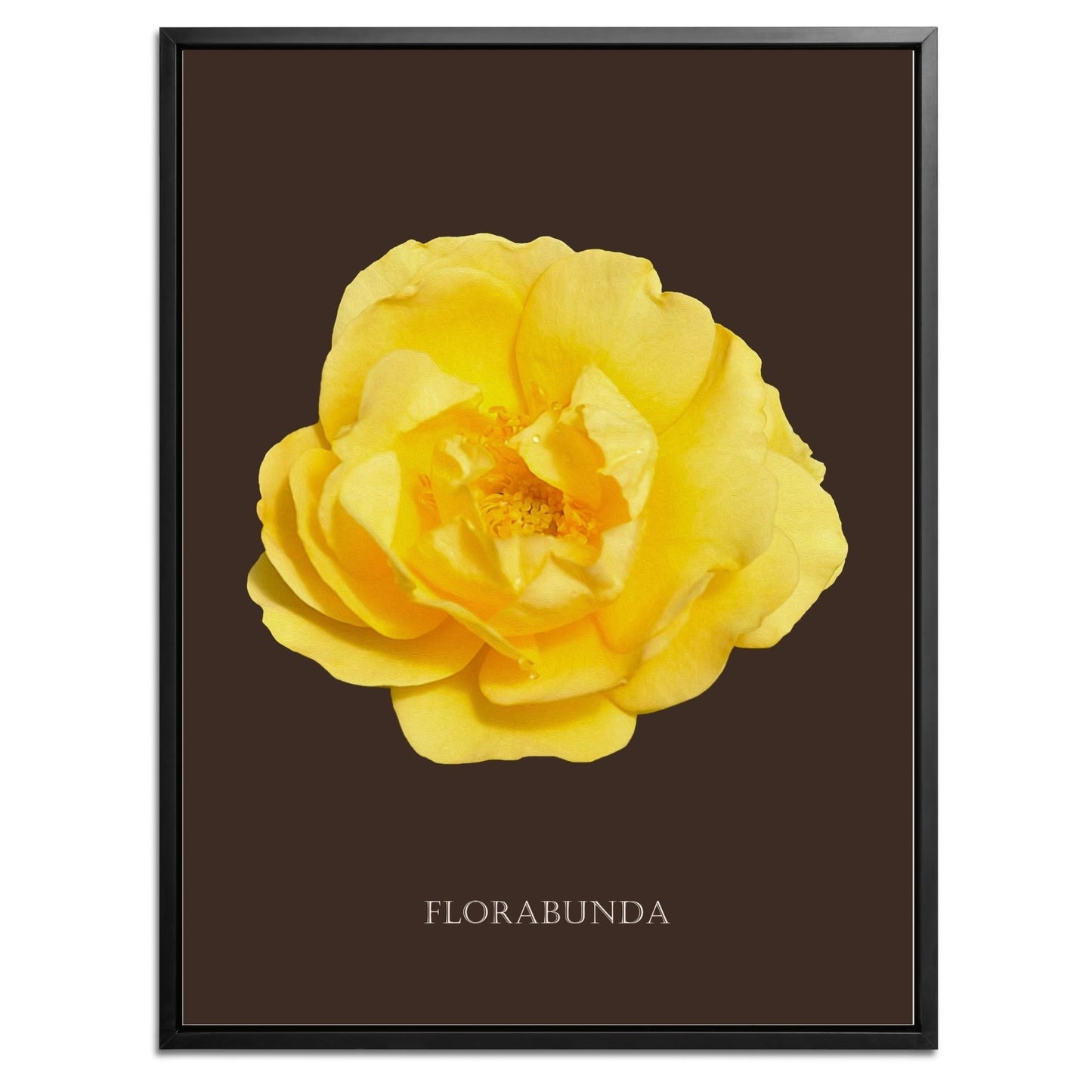 Yellow Florabunda Rose Botanical Fine Art Print by H Potter