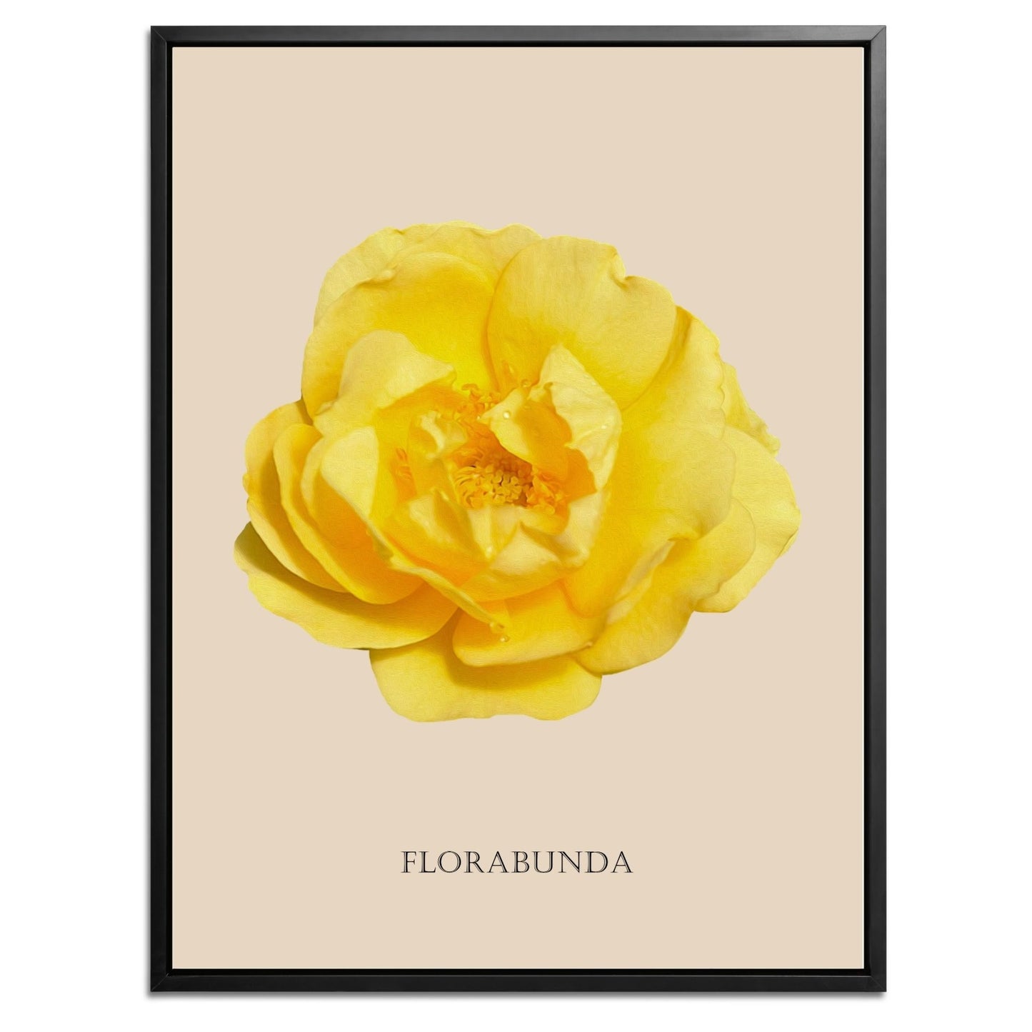Yellow Florabunda Rose Botanical Fine Art Print by H Potter
