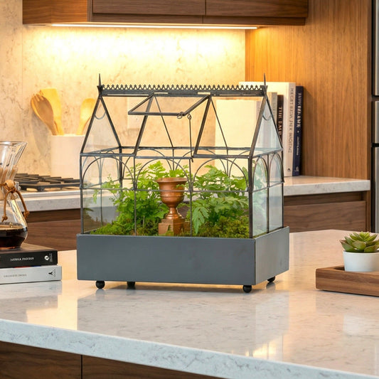 h potter glass terrarium in kitchen with green plants