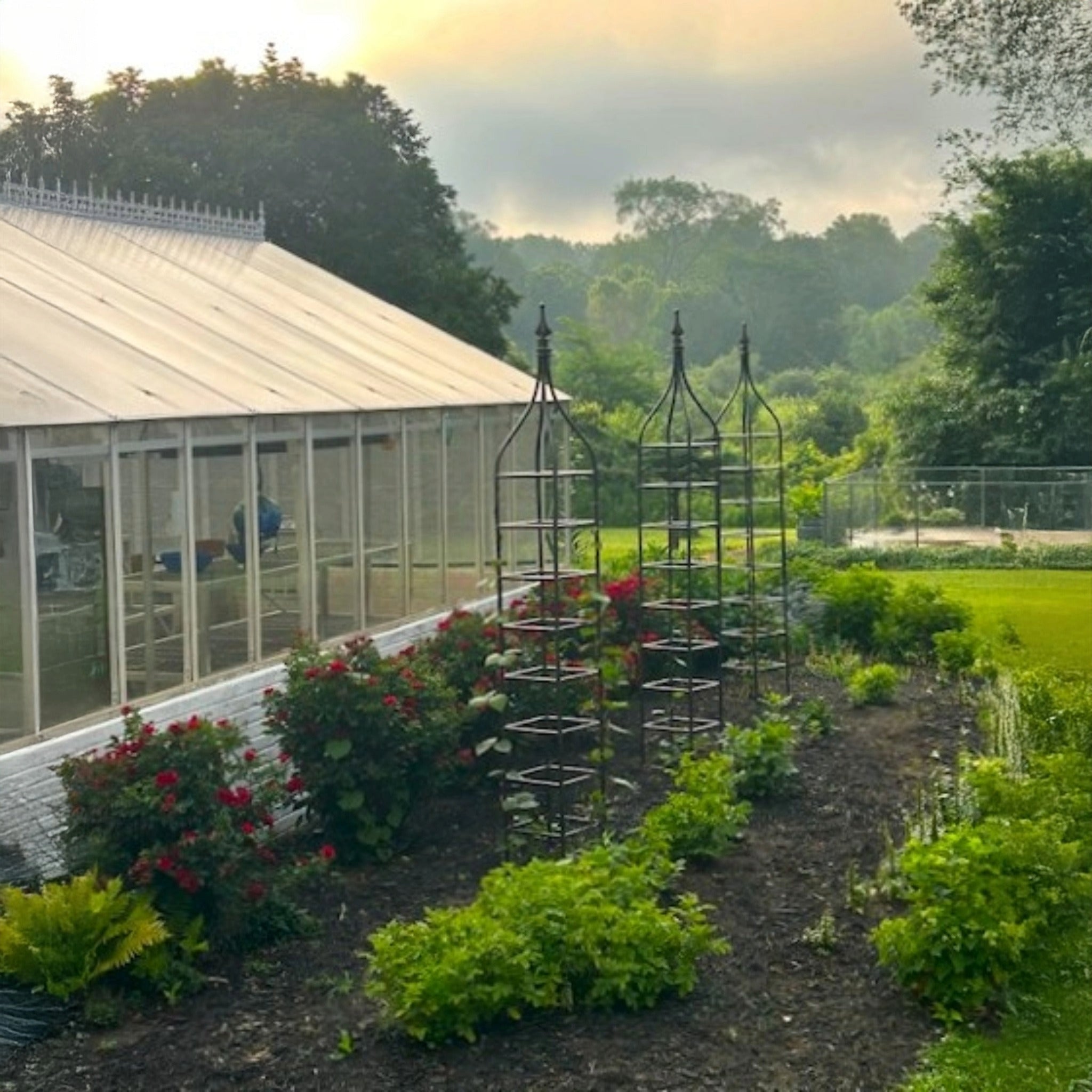 Obelisk Trellis Set for Climbing Plants | H Potter Garden Decor