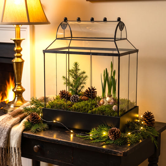 h potter glass terrarium with a removable lid, styled with greenery, pinecones, and fairy lights on a dark wooden table next to a lit lamp and fireplace.
