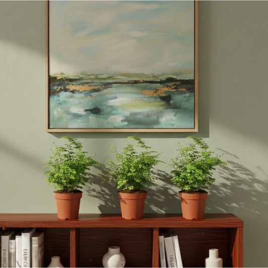 Maidenhair ferns styled on shelf in indoor living space