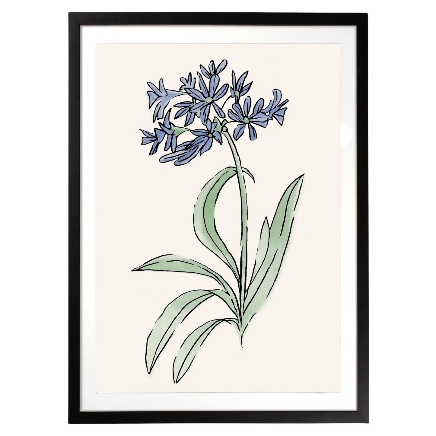 Blue Flower Botanical Fine Art Print by H Potter