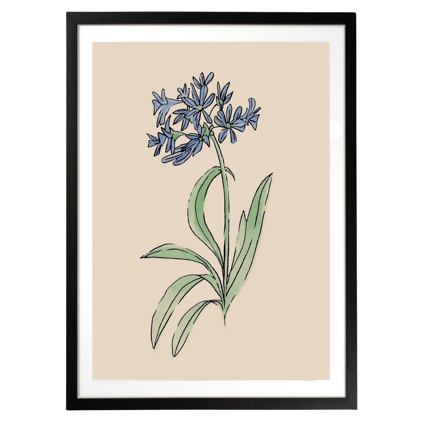 Blue Flower Botanical Fine Art Print by H Potter