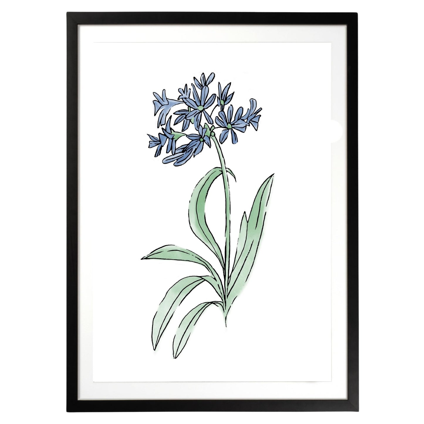 Blue Flower Botanical Fine Art Print by H Potter