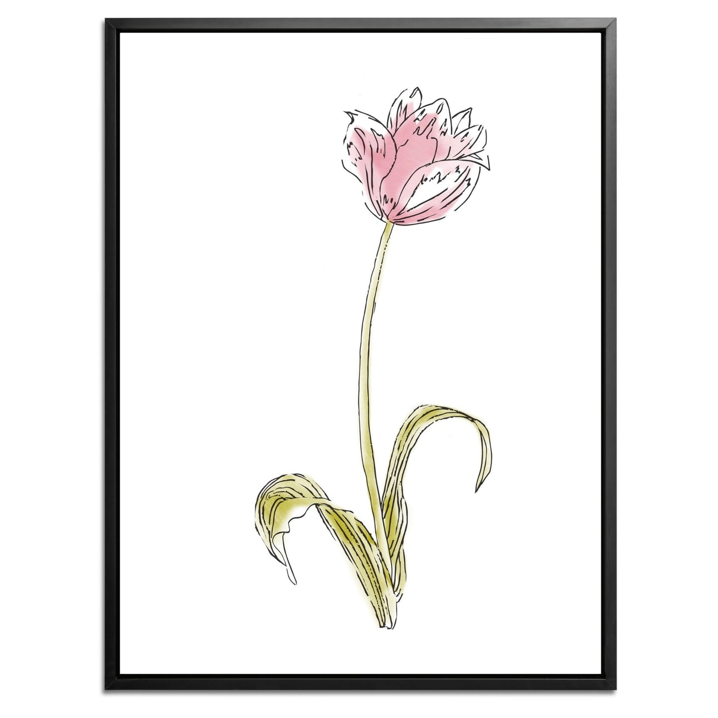 Pink Flower Botanical Fine Art Print by H Potter