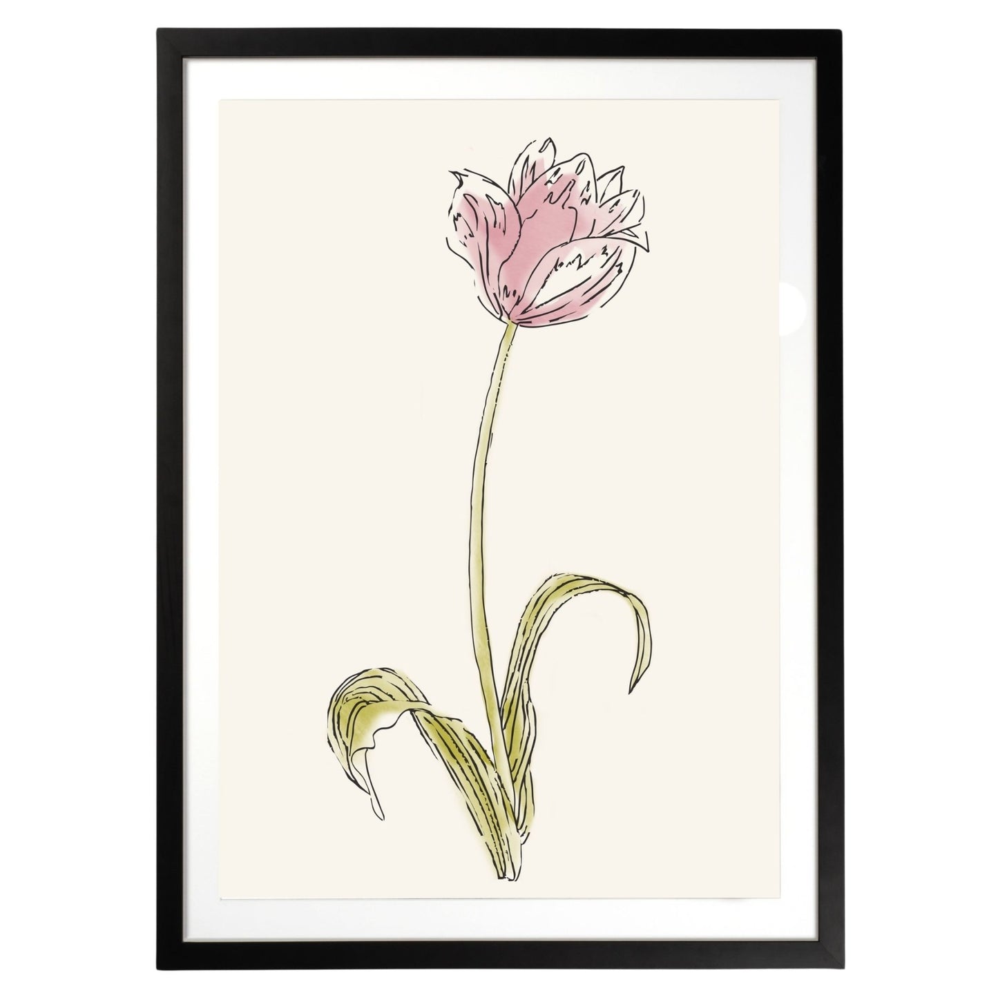 Pink Flower Botanical Fine Art Print by H Potter