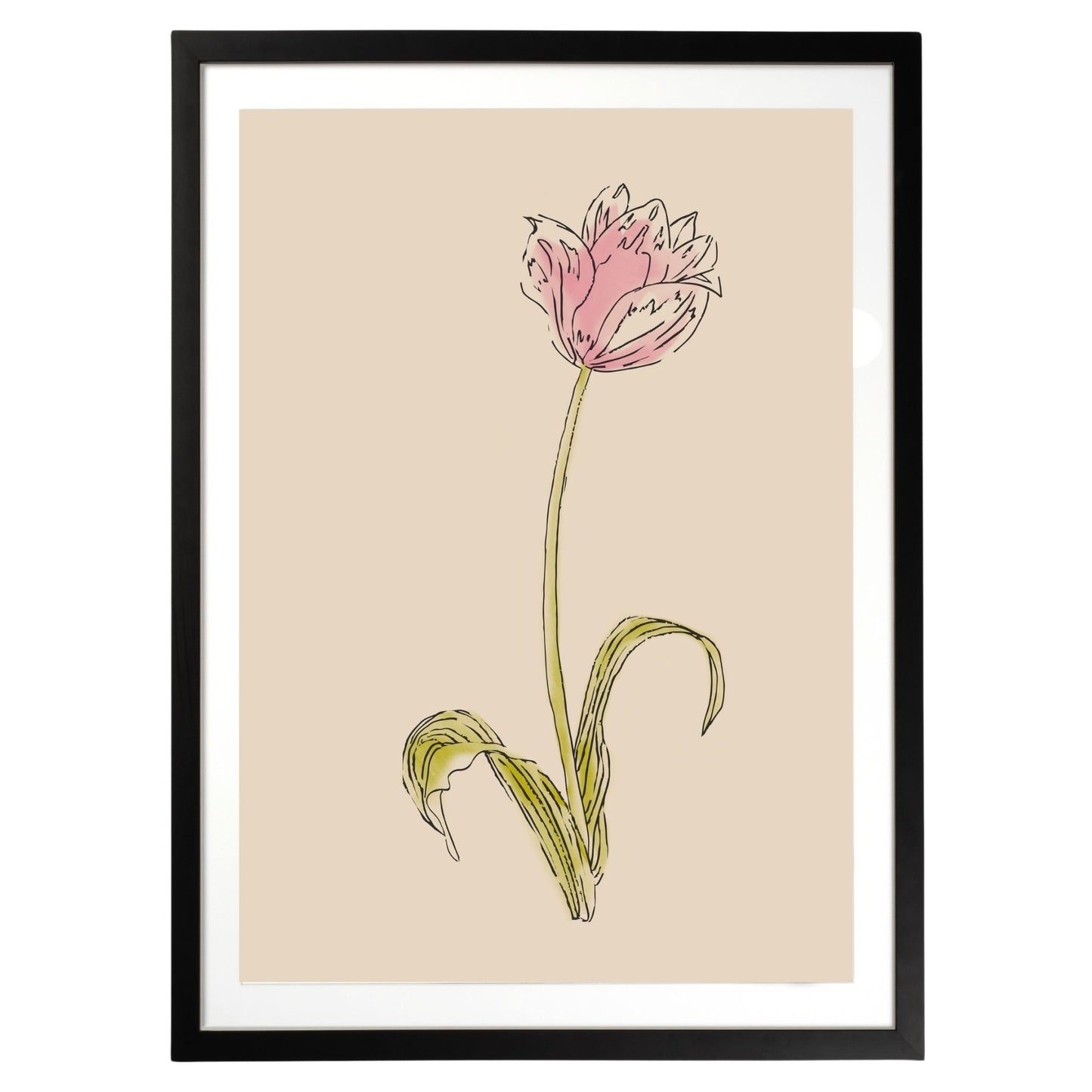Pink Flower Botanical Fine Art Print by H Potter