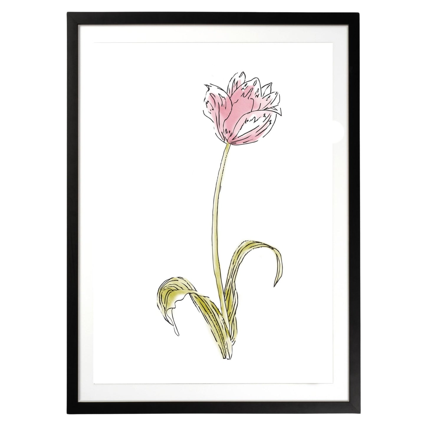 Pink Flower Botanical Fine Art Print by H Potter