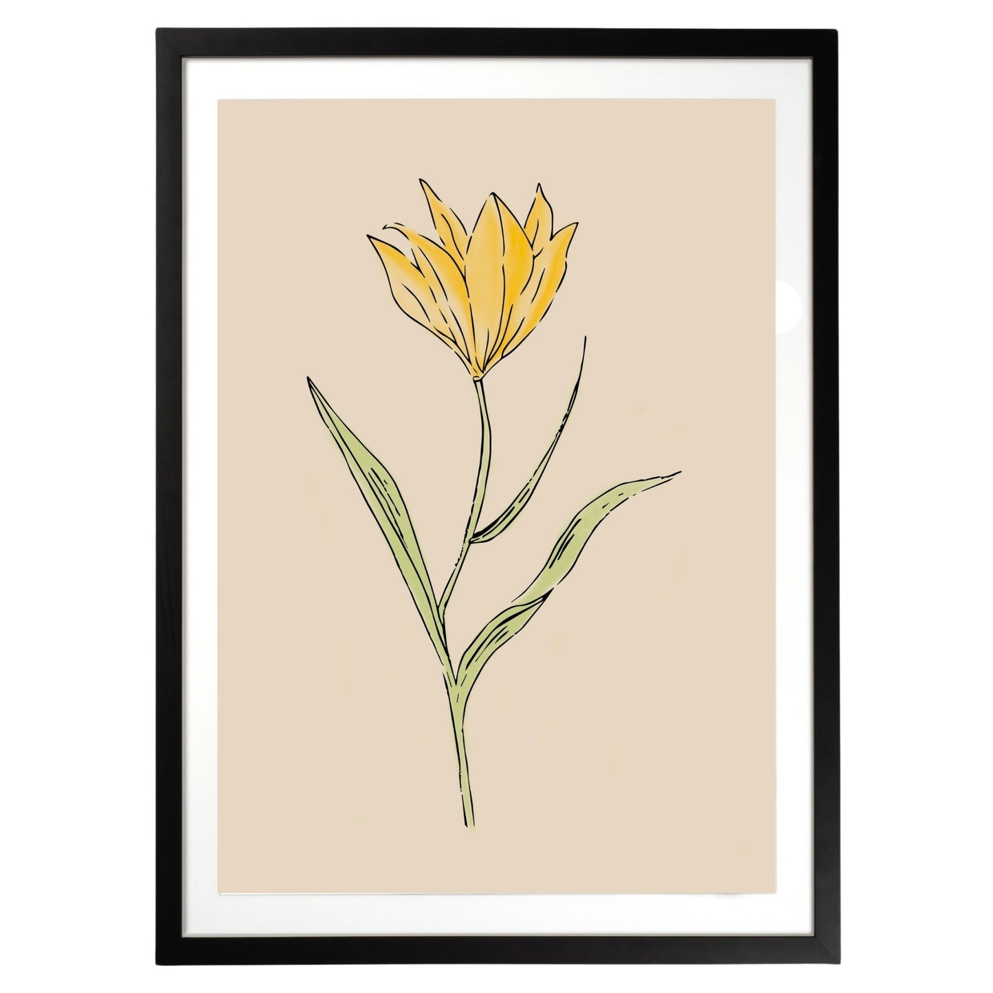 Yellow Flower Botanical Fine Art Print by H Potter