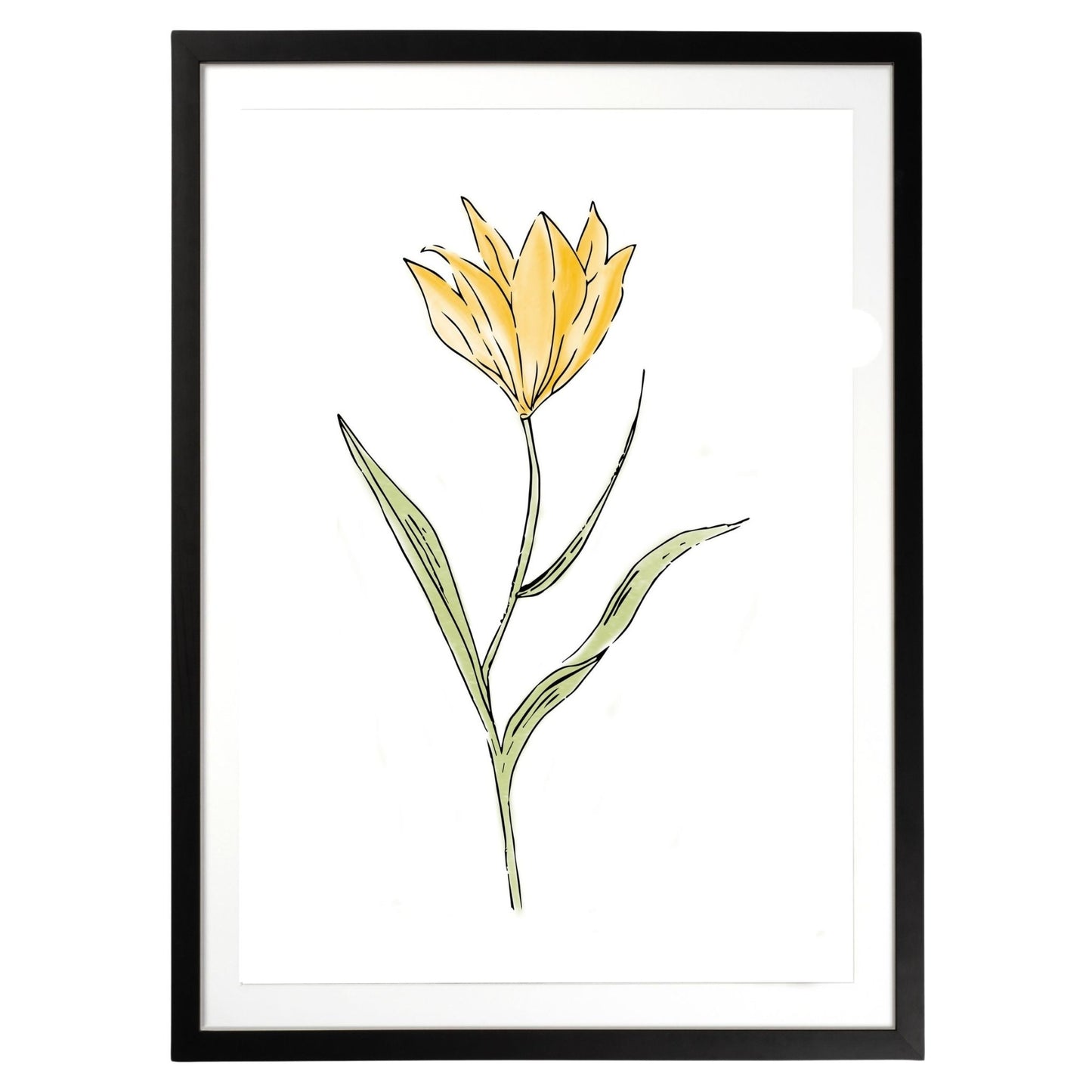 Yellow Flower Botanical Fine Art Print by H Potter