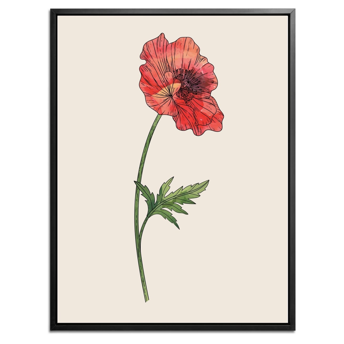 Poppy Botanical Fine Art Print by H Potter 2