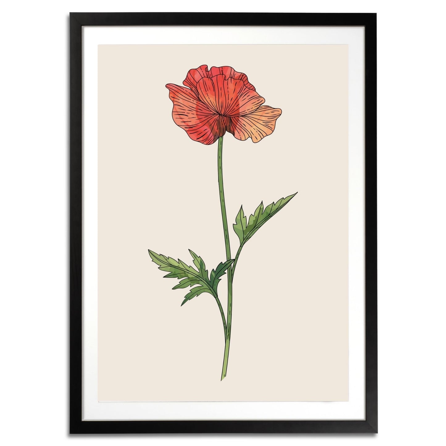 Poppy Botanical Fine Art Print by H Potter 1