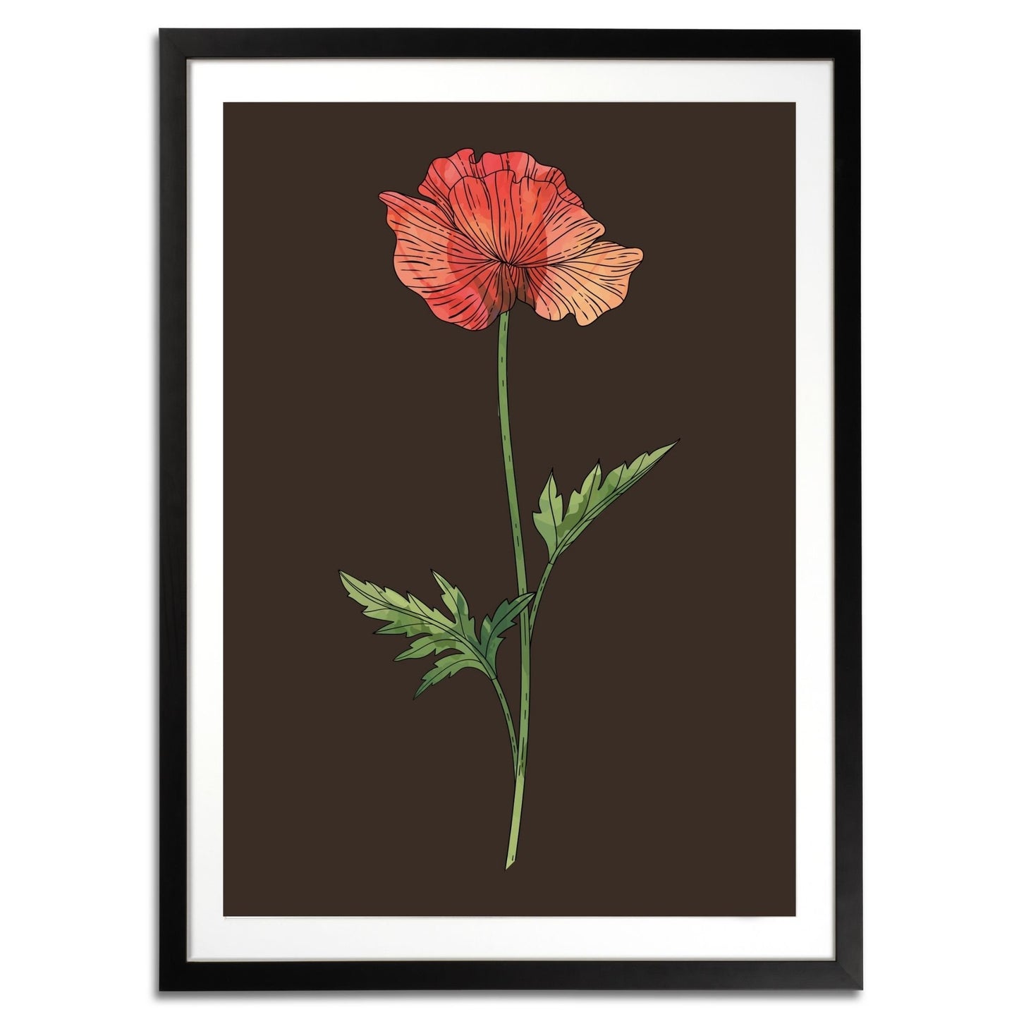 Poppy Botanical Fine Art Print by H Potter 1