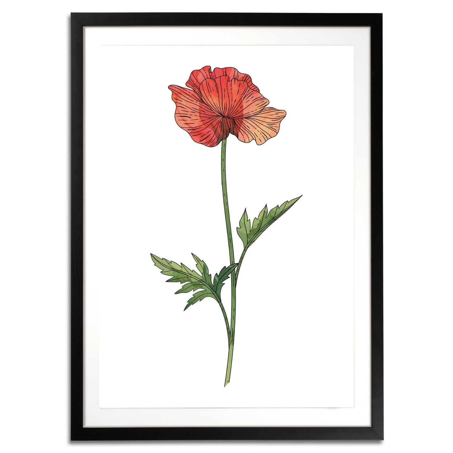 Poppy Botanical Fine Art Print by H Potter 1