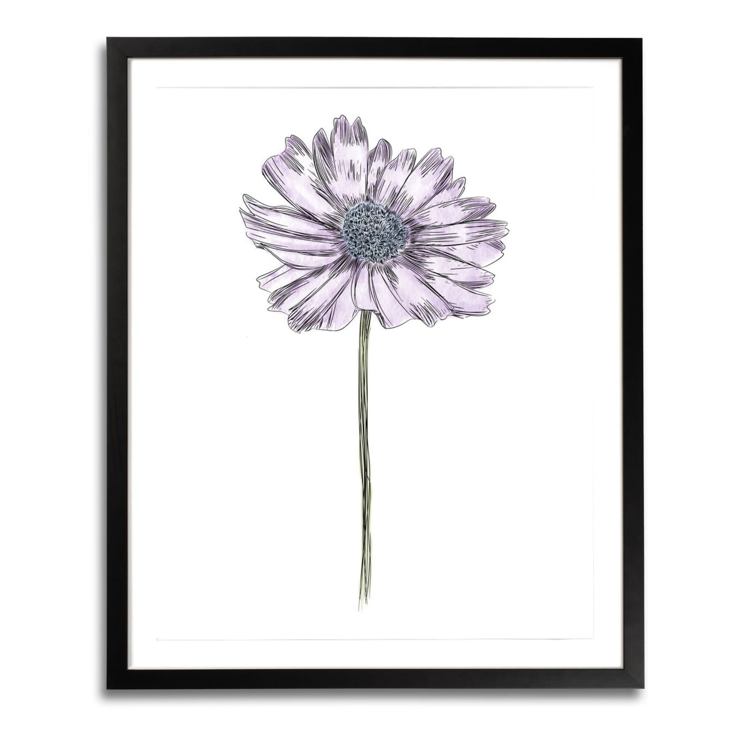 Daisy Botanical Fine Art Print by H Potter Purple