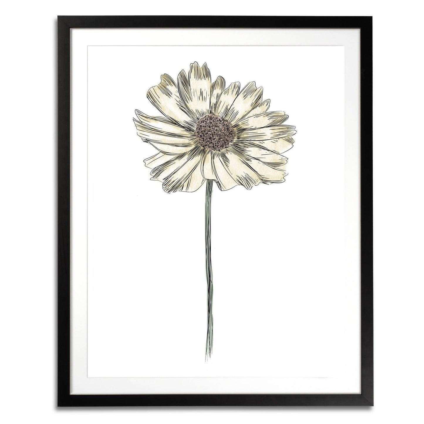Daisy Botanical Fine Art Print by H Potter Yellow