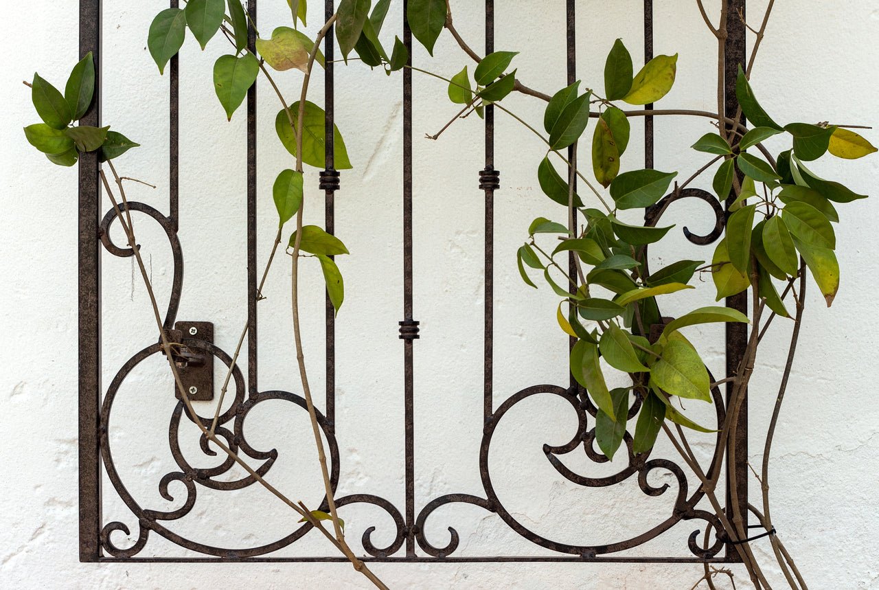H Potter Wall Trellis 8 ft Wrought Iron Ornamental Metal with Wall Brackets