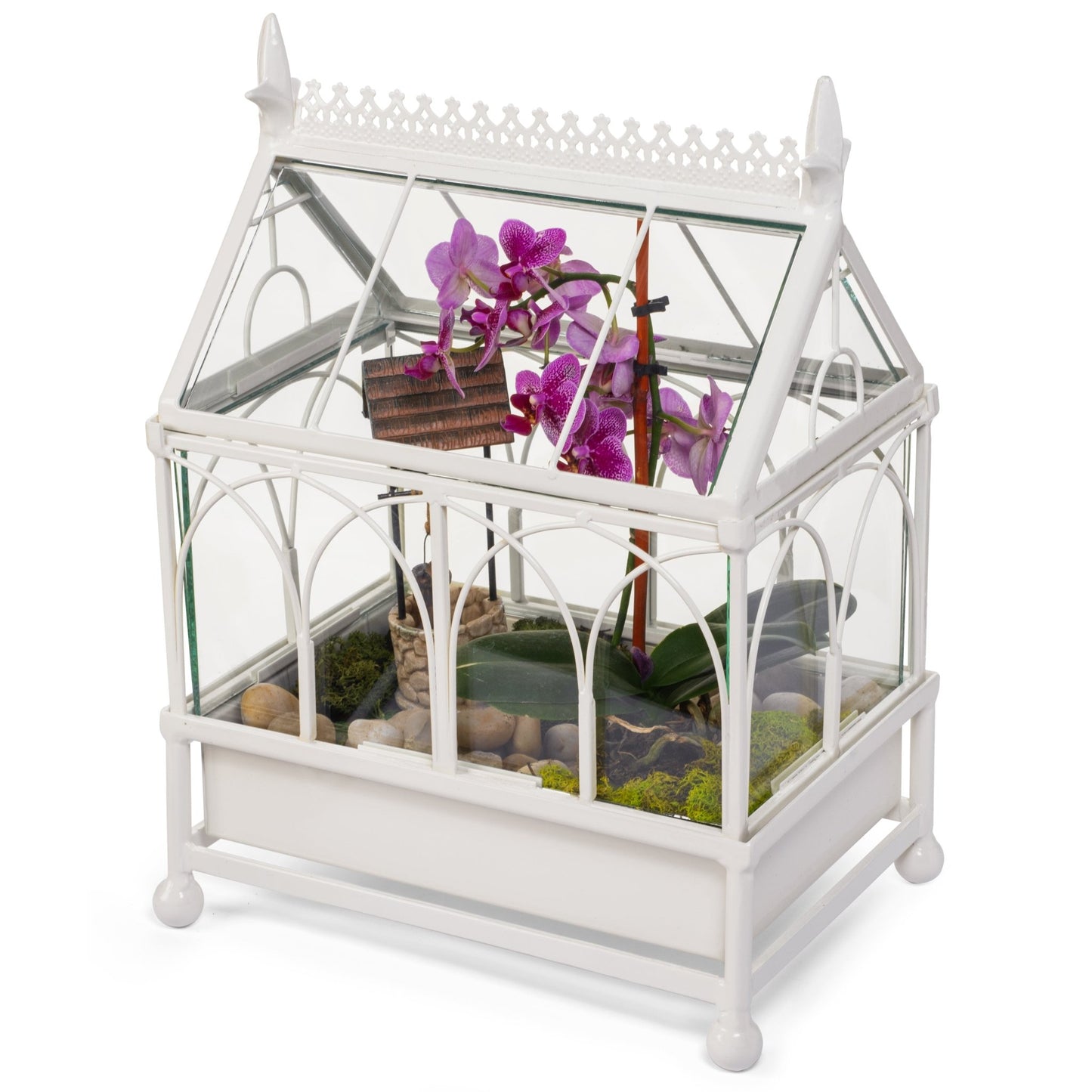 H Potter Terrarium Wardian Case Metal Tabletop orchid case gift for mom mothers day valentine christmas metal and glass