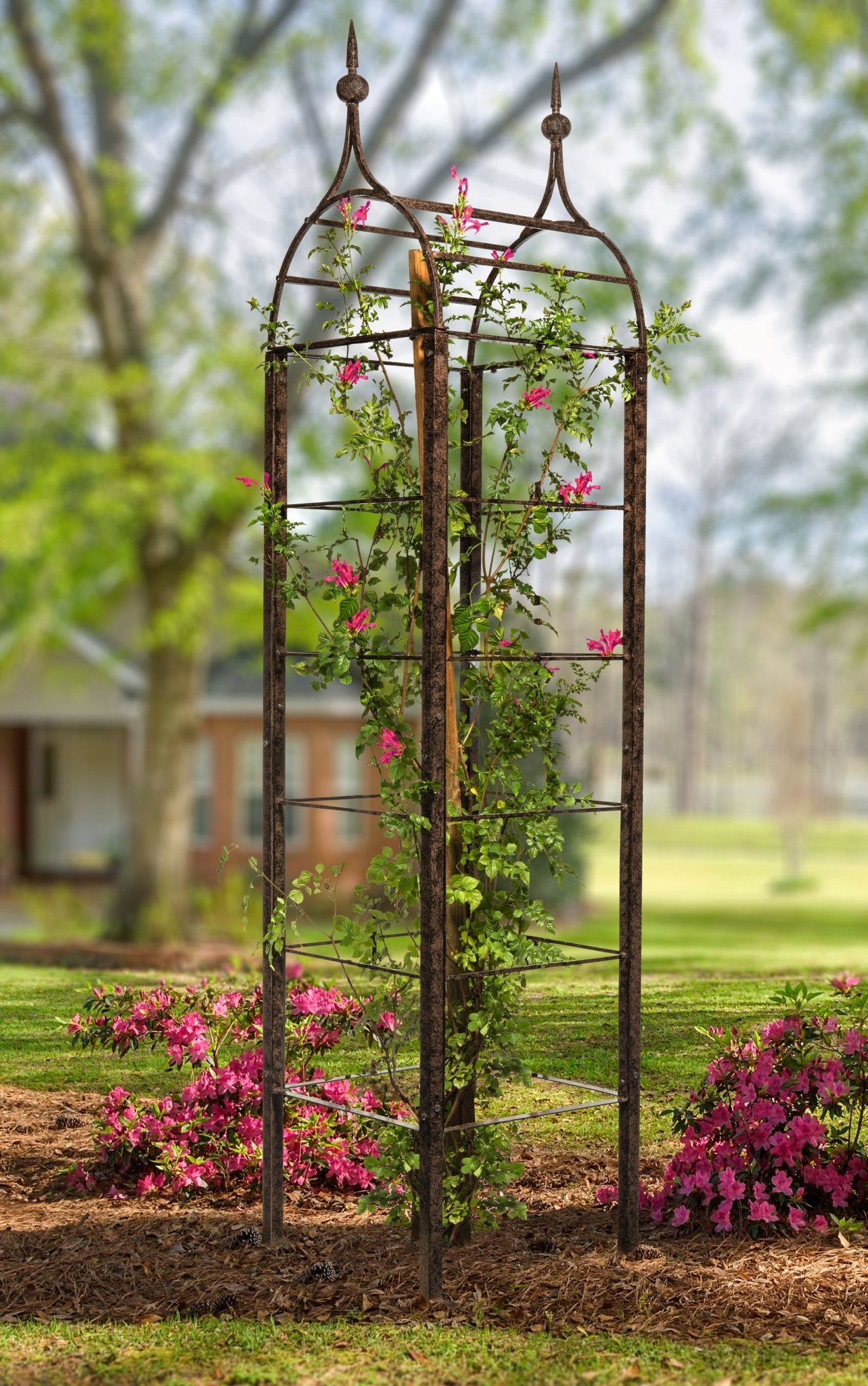 h potter metal obelisk trellis supporting climbing flowers in formal garden bed
