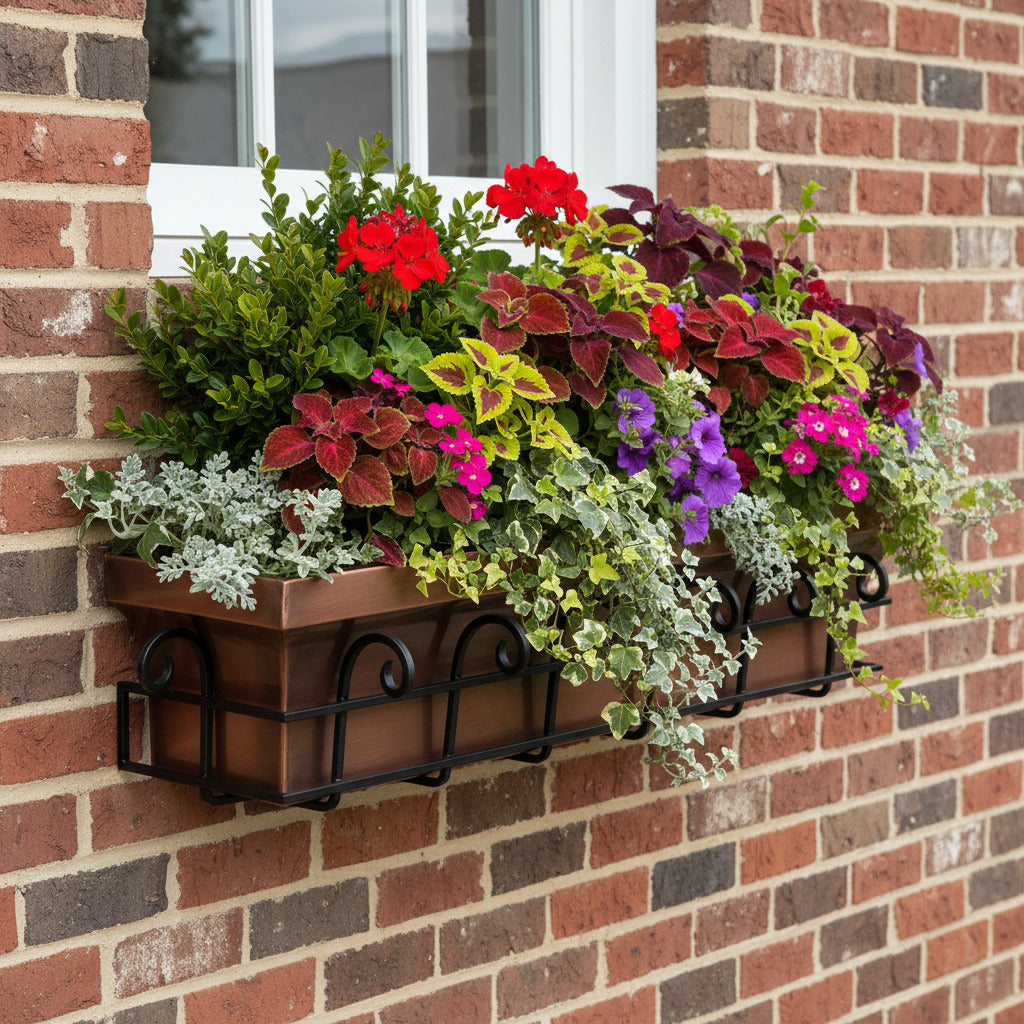 H Potter Flared Window Box 36 inch with some Boxwood, Coleus, geranium and ivy