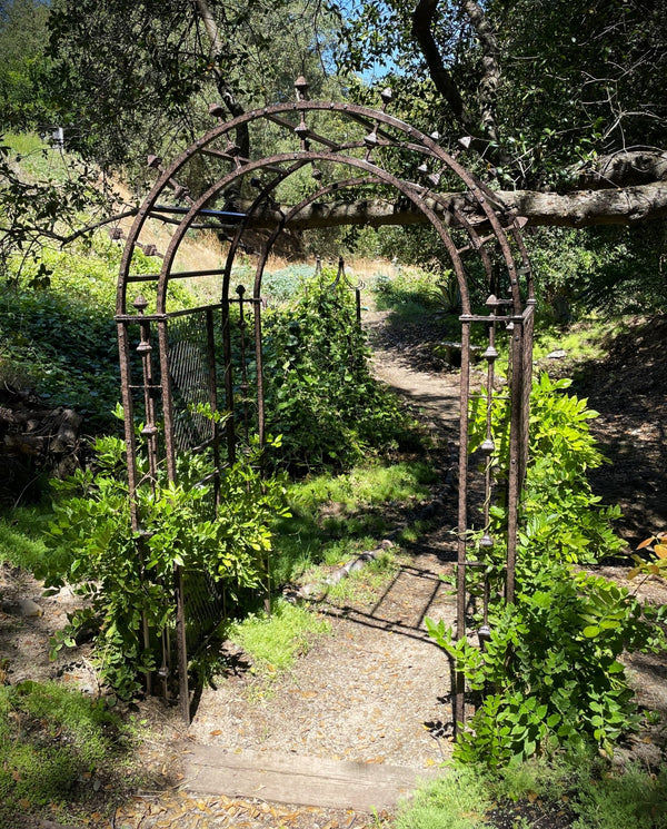 Transforming Your Outdoor Space: DIY Projects to Spruce Up Your Yard Before Autumn