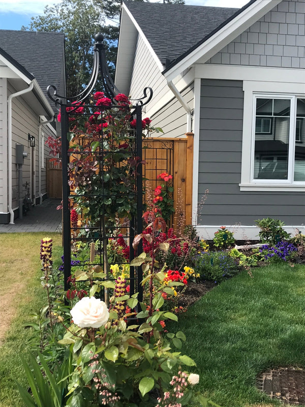 Metal Garden Obelisks FAQs