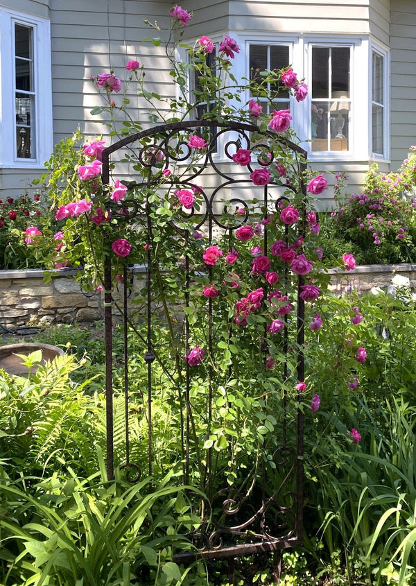 What is a Trellis? Learn the Meaning of Trellis & Shop Our Garden Trellises