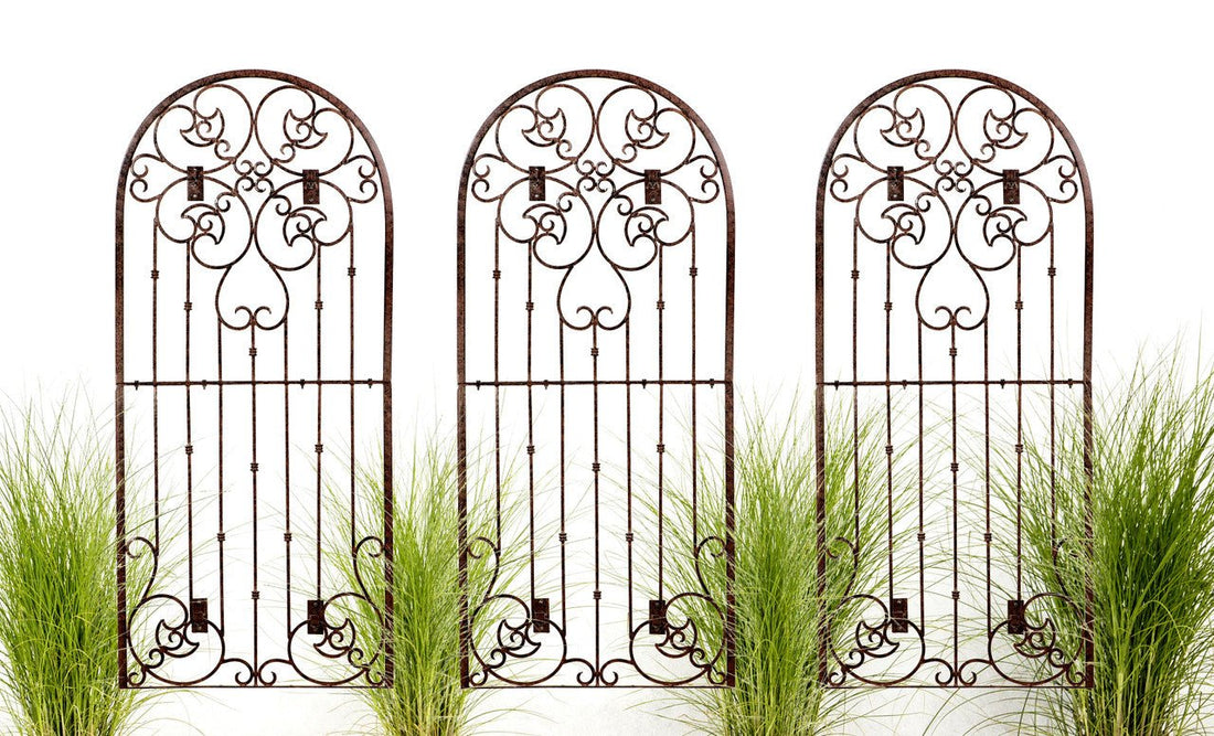 Elevate Your Garden: The Beauty of Ornamental Grasses