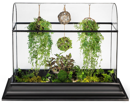 Unveiling the Beauty of Tropical Terrariums: A Green Haven by H Potter