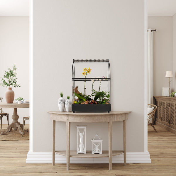 Terrarium Care FAQ | How to Water, Maintain, and Choose Plants